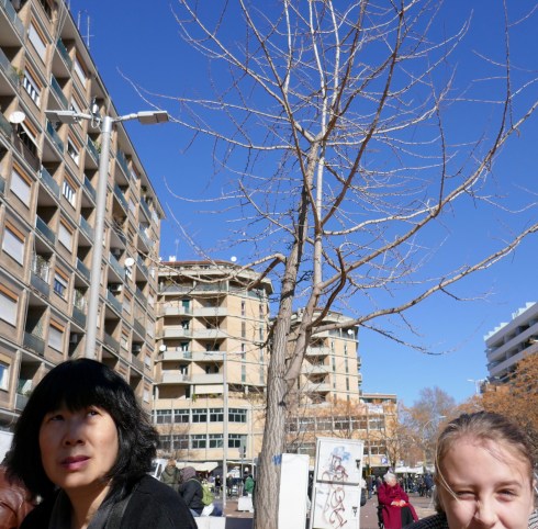 Långväga turister i Rom.